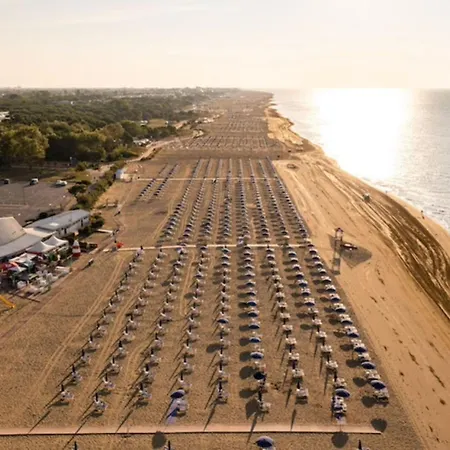 Bright Flat Close To The