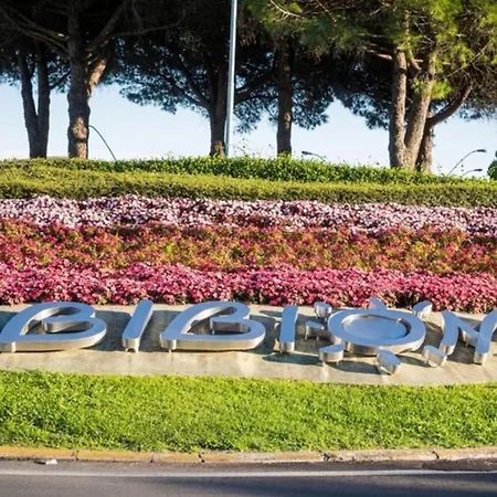Bright Flat Close To The