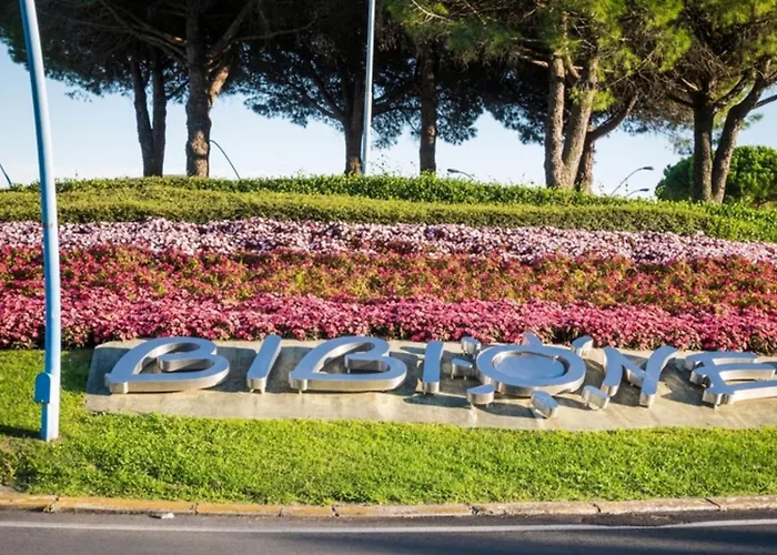 Bright Flat Close To The